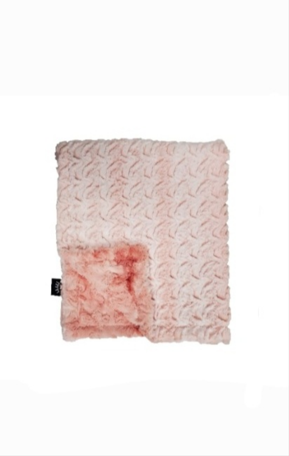 Coralicious Minky Blanket